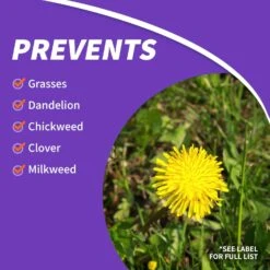 Bonide KleenUp Weed And Grass Killer Concentrate 32 Oz 11 Bonide KleenUp Weed And Grass Killer Concentrate 32 Oz -Toro Shop fedc0f58 8e2a 45cd 8730 459adbe35cad