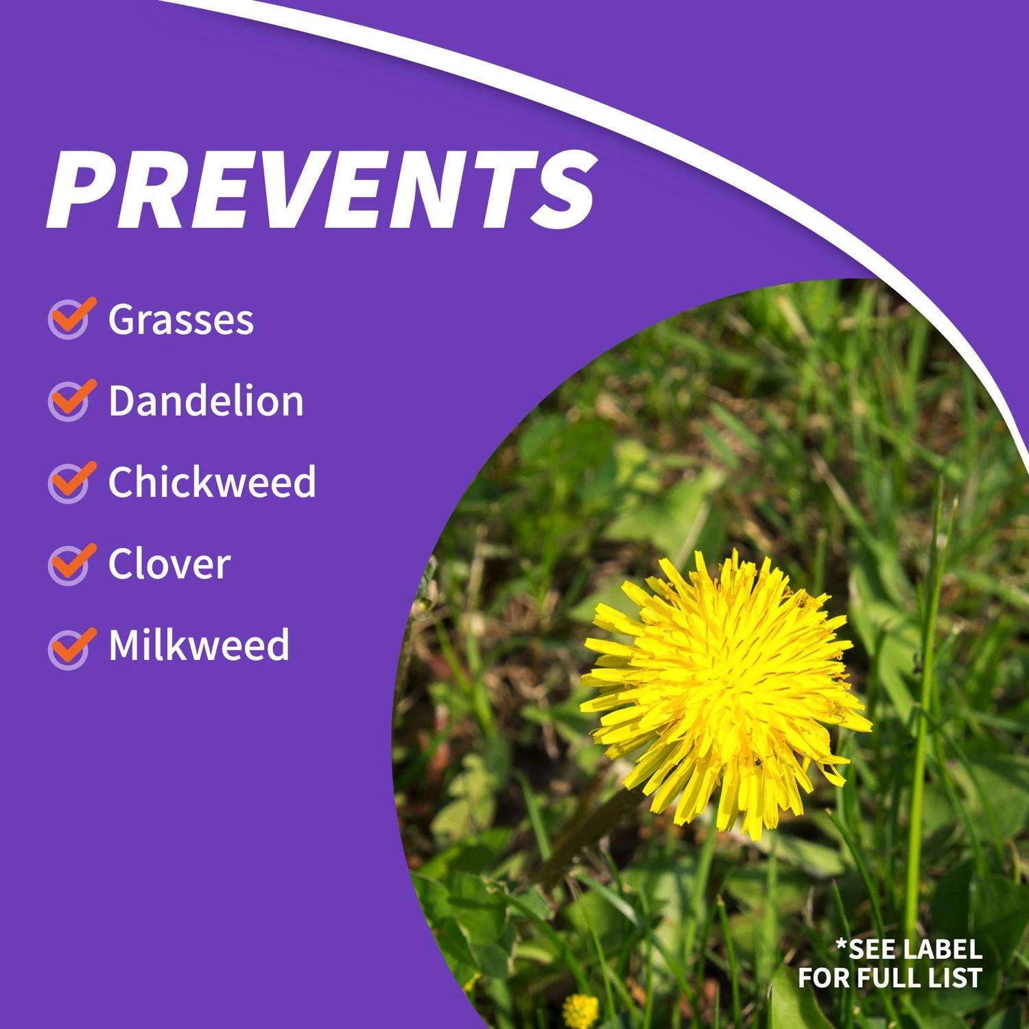 Bonide KleenUp Weed And Grass Killer Concentrate 32 Oz 5 Bonide KleenUp Weed And Grass Killer Concentrate 32 Oz - Image 5