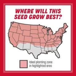 Pennington The Rebels Tall Fescue Grass Sun Or Shade Grass Seed 20 Lb -Toro Shop ffc8e445 cb6f 40e6 a2c1 65c48ce6ab1c