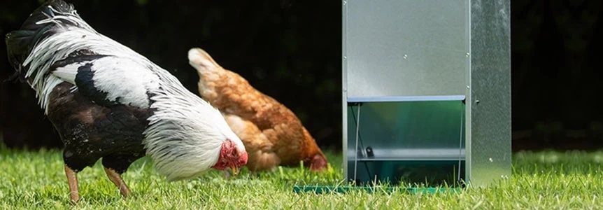 Front Page -Toro Shop banner632