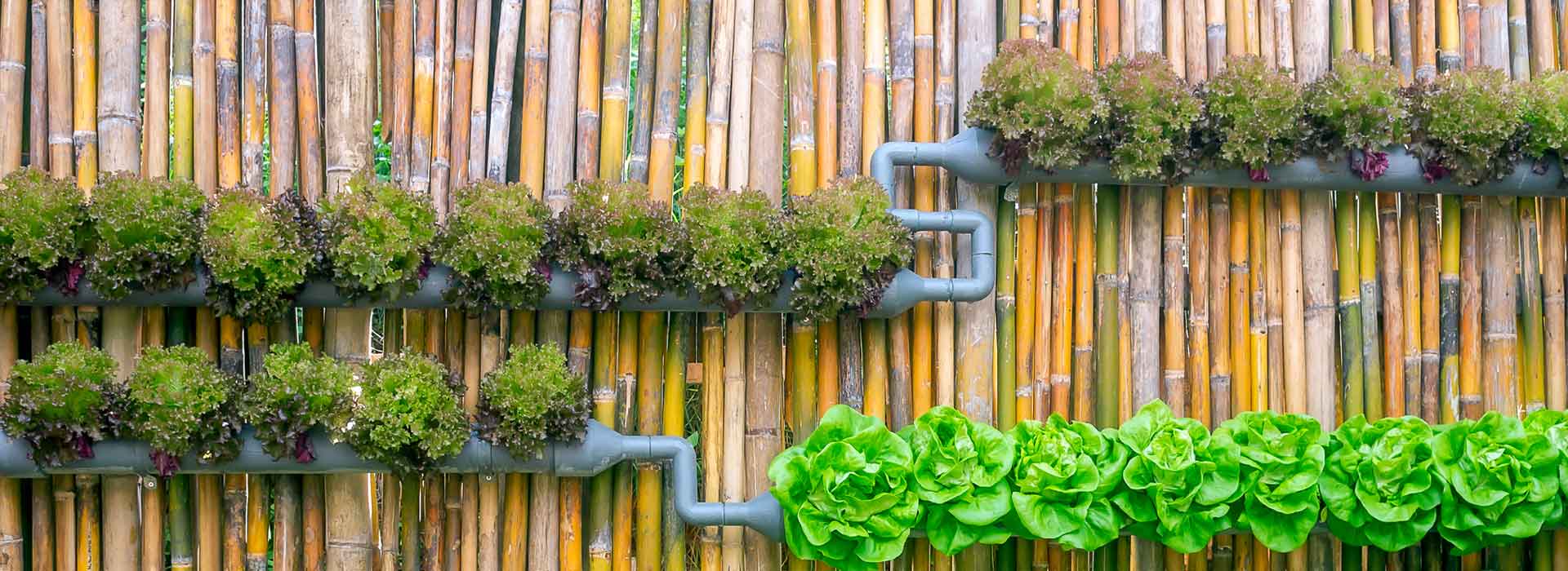 Front Page -Toro Shop banner633